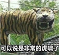 印尼老虎雕像表情包完整版