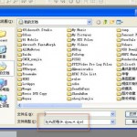 djvu阅读器(WinDjView) v2.1 中文版