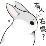 可爱小兔子QQ表情 官方版
