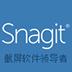 SnagIt(截图软件) V13.00.6248 官方版